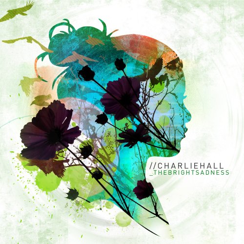 [이벤트 30%]Charlie Hall - The Bright Sadness (CD)